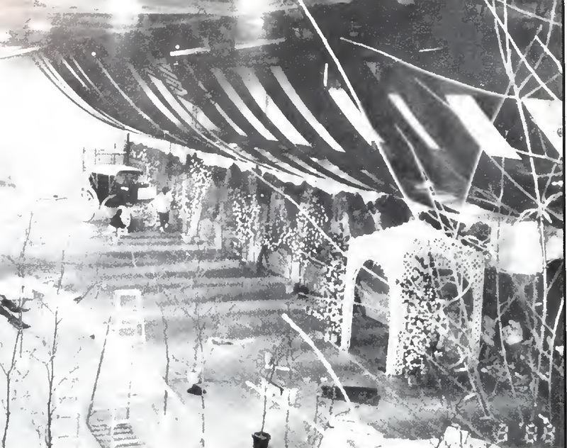 This is a black and white photograph of W&L's 1988 Fancy Dress: Reconciliation Ball venue. The photo includes decorated trees, an archway, a ceiling decor fixture, and a carriage.